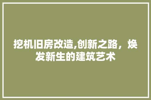 挖机旧房改造,创新之路，焕发新生的建筑艺术