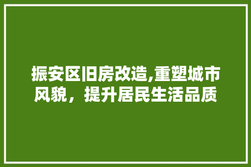 振安区旧房改造,重塑城市风貌，提升居民生活品质