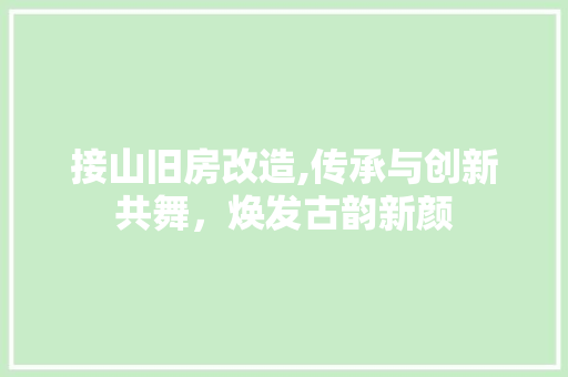 接山旧房改造,传承与创新共舞，焕发古韵新颜
