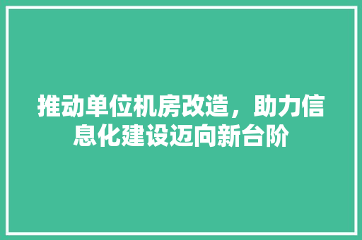 推动单位机房改造，助力信息化建设迈向新台阶