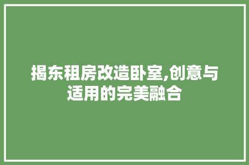 揭东租房改造卧室,创意与适用的完美融合