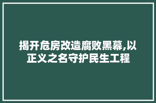 揭开危房改造腐败黑幕,以正义之名守护民生工程