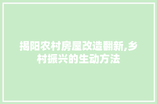 揭阳农村房屋改造翻新,乡村振兴的生动方法