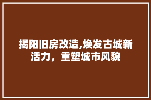 揭阳旧房改造,焕发古城新活力，重塑城市风貌