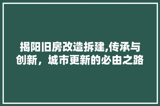 揭阳旧房改造拆建,传承与创新，城市更新的必由之路
