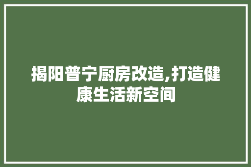 揭阳普宁厨房改造,打造健康生活新空间