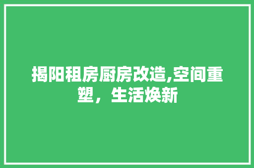 揭阳租房厨房改造,空间重塑，生活焕新