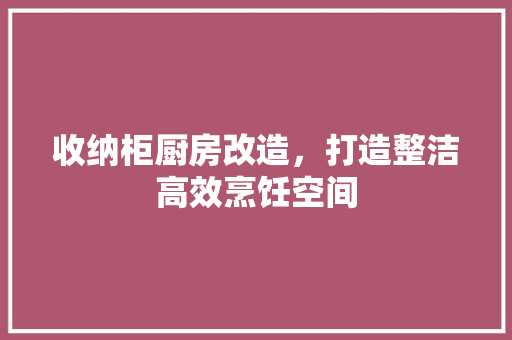 收纳柜厨房改造，打造整洁高效烹饪空间