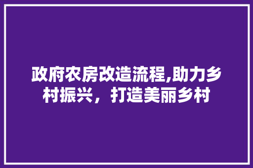 政府农房改造流程,助力乡村振兴，打造美丽乡村