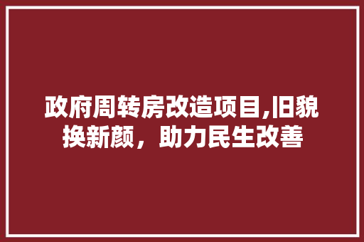 政府周转房改造项目,旧貌换新颜，助力民生改善