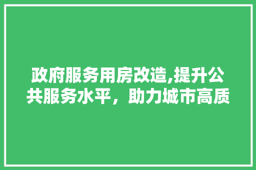 政府服务用房改造,提升公共服务水平，助力城市高质量发展