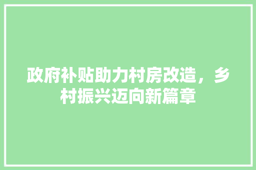 政府补贴助力村房改造，乡村振兴迈向新篇章