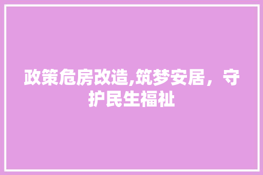 政策危房改造,筑梦安居，守护民生福祉