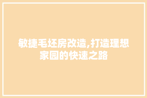 敏捷毛坯房改造,打造理想家园的快速之路