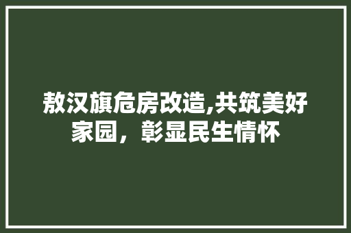 敖汉旗危房改造,共筑美好家园，彰显民生情怀