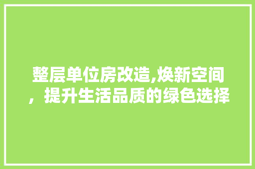 整层单位房改造,焕新空间，提升生活品质的绿色选择