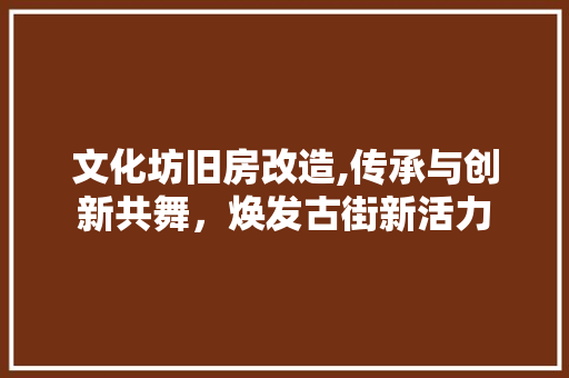 文化坊旧房改造,传承与创新共舞，焕发古街新活力