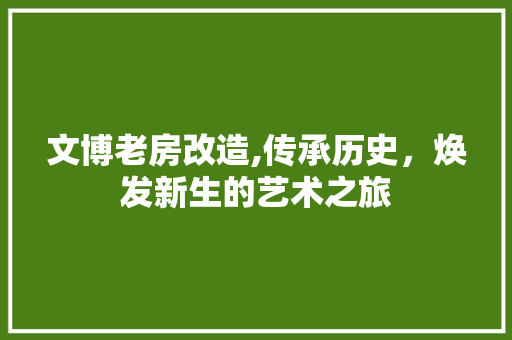文博老房改造,传承历史，焕发新生的艺术之旅