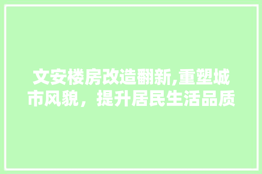 文安楼房改造翻新,重塑城市风貌，提升居民生活品质