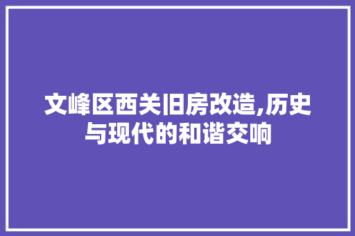 文峰区西关旧房改造,历史与现代的和谐交响