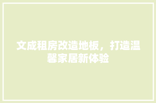 文成租房改造地板，打造温馨家居新体验