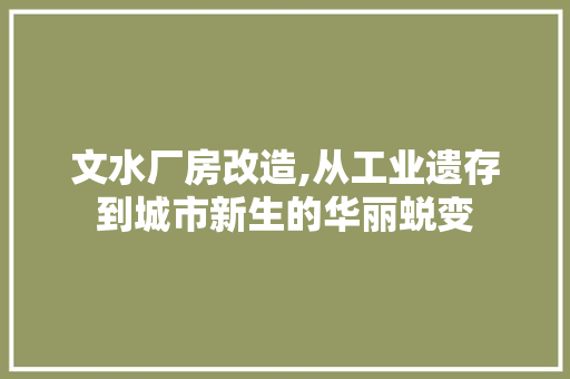 文水厂房改造,从工业遗存到城市新生的华丽蜕变
