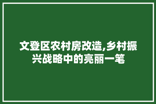 文登区农村房改造,乡村振兴战略中的亮丽一笔