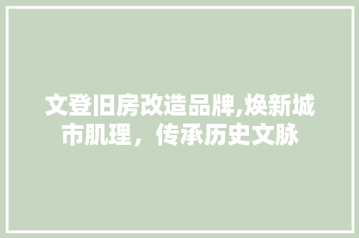 文登旧房改造品牌,焕新城市肌理，传承历史文脉