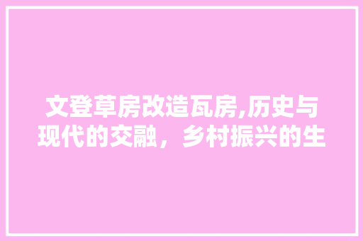 文登草房改造瓦房,历史与现代的交融，乡村振兴的生动方法