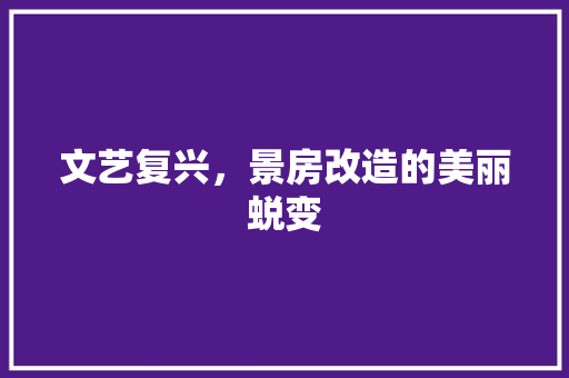 文艺复兴，景房改造的美丽蜕变