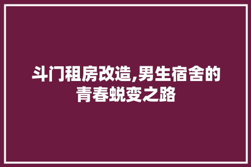 斗门租房改造,男生宿舍的青春蜕变之路