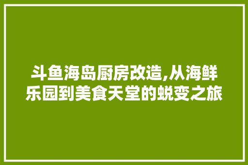 斗鱼海岛厨房改造,从海鲜乐园到美食天堂的蜕变之旅