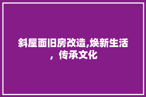 斜屋面旧房改造,焕新生活，传承文化