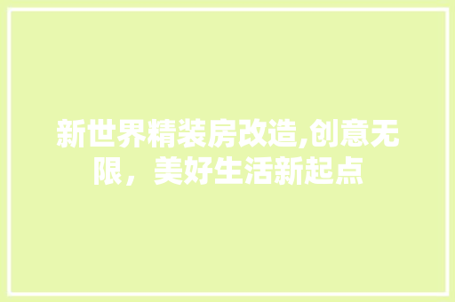 新世界精装房改造,创意无限，美好生活新起点