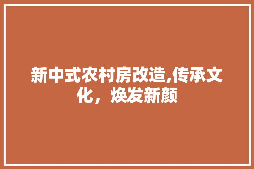 新中式农村房改造,传承文化，焕发新颜