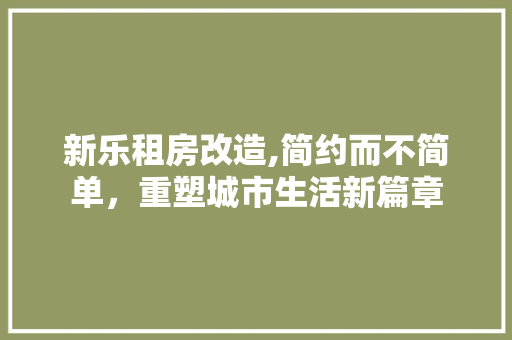新乐租房改造,简约而不简单，重塑城市生活新篇章