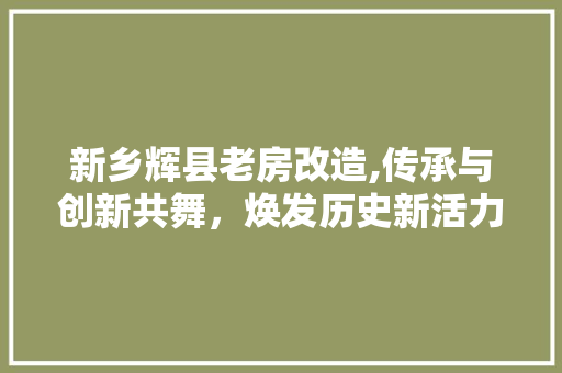 新乡辉县老房改造,传承与创新共舞，焕发历史新活力