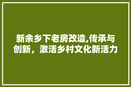 新余乡下老房改造,传承与创新，激活乡村文化新活力