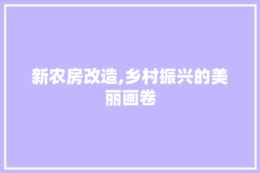 新农房改造,乡村振兴的美丽画卷
