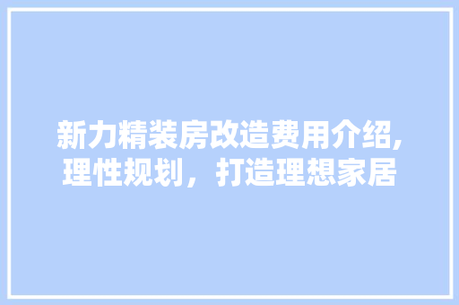 新力精装房改造费用介绍,理性规划，打造理想家居
