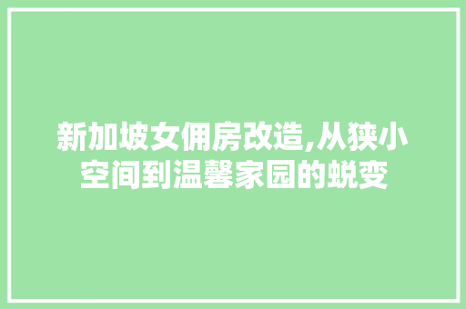 新加坡女佣房改造,从狭小空间到温馨家园的蜕变