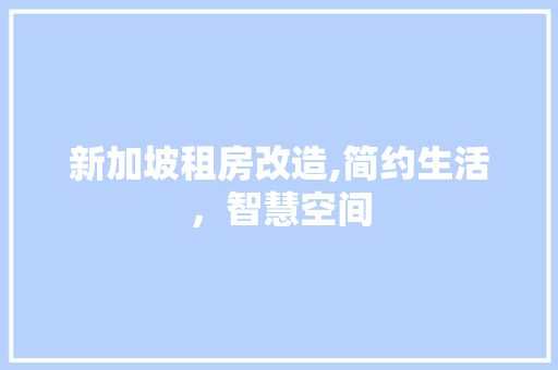 新加坡租房改造,简约生活，智慧空间