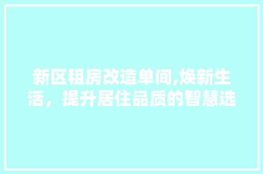 新区租房改造单间,焕新生活，提升居住品质的智慧选择 厨房维修
