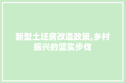 新型土坯房改造政策,乡村振兴的坚实步伐