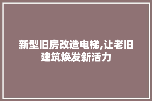 新型旧房改造电梯,让老旧建筑焕发新活力