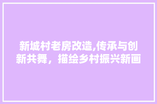 新城村老房改造,传承与创新共舞，描绘乡村振兴新画卷