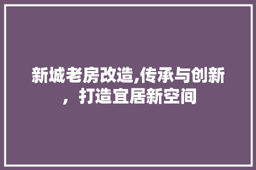 新城老房改造,传承与创新，打造宜居新空间 厨房维修