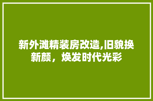 新外滩精装房改造,旧貌换新颜，焕发时代光彩