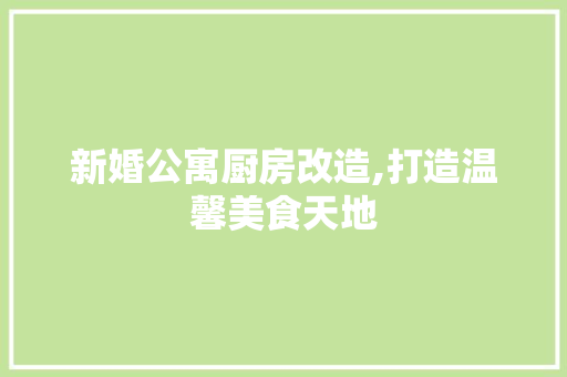 新婚公寓厨房改造,打造温馨美食天地