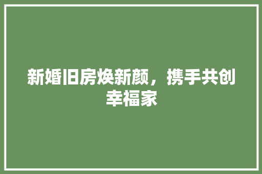 新婚旧房焕新颜，携手共创幸福家